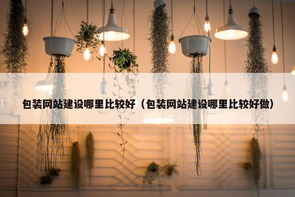 包装网站建设哪里比较好（包装网站建设哪里比较好做）