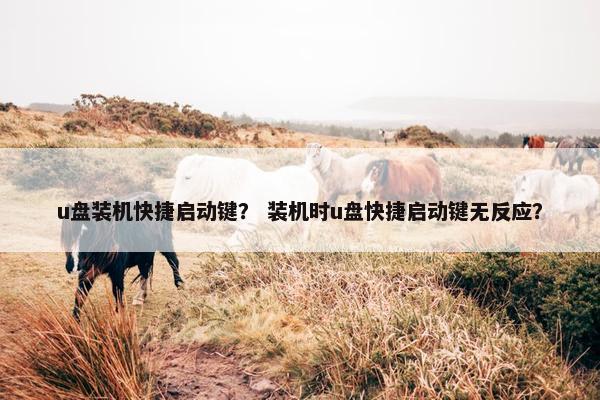 u盘装机快捷启动键？ 装机时u盘快捷启动键无反应？