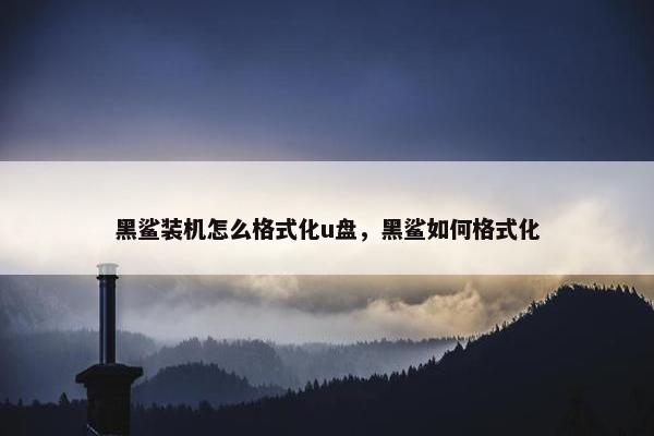 黑鲨装机怎么格式化u盘，黑鲨如何格式化