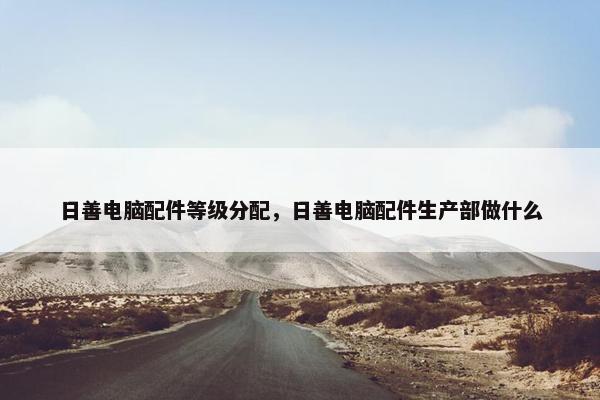 日善电脑配件等级分配，日善电脑配件生产部做什么