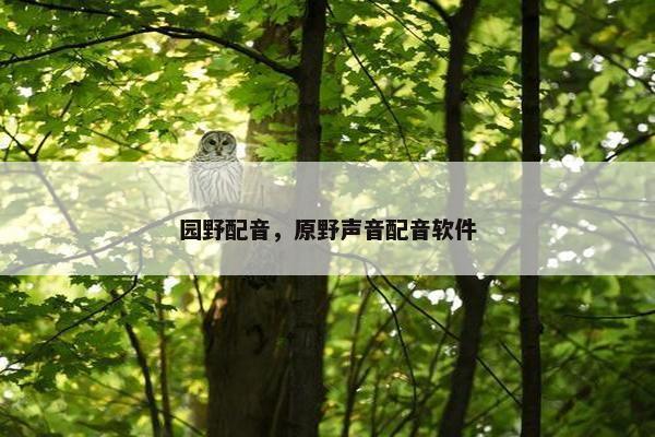 园野配音，原野声音配音软件