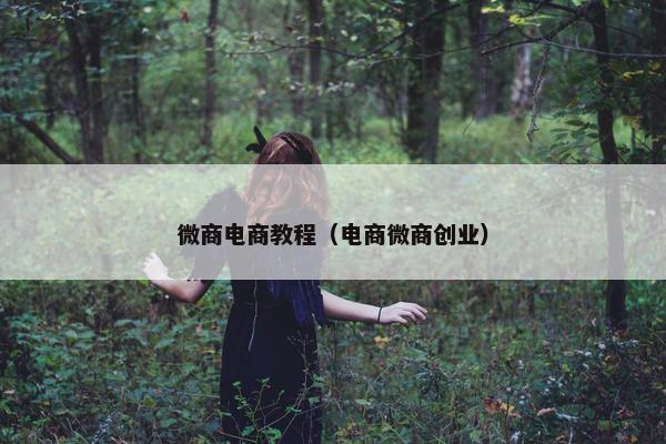 微商电商教程（电商微商创业）