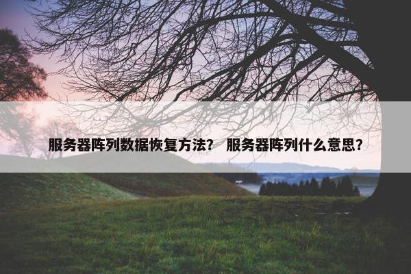 服务器阵列数据恢复方法？ 服务器阵列什么意思？