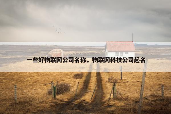 一些好物联网公司名称，物联网科技公司起名
