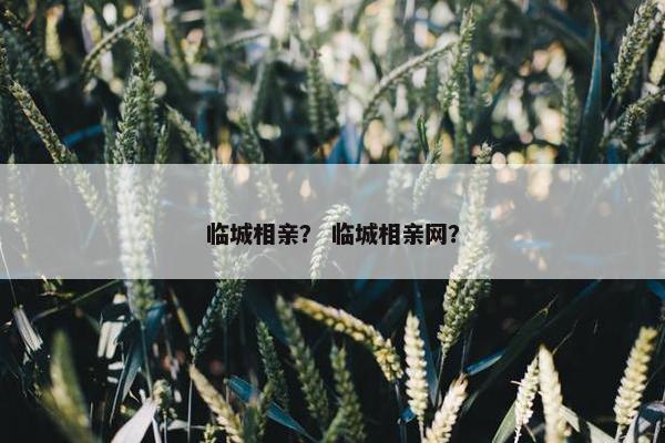 临城相亲？ 临城相亲网？