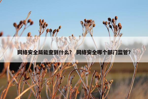 网络安全局能查到什么？ 网络安全哪个部门监管？