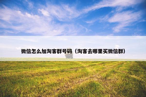 微信怎么加淘客群号码（淘客去哪里买微信群）