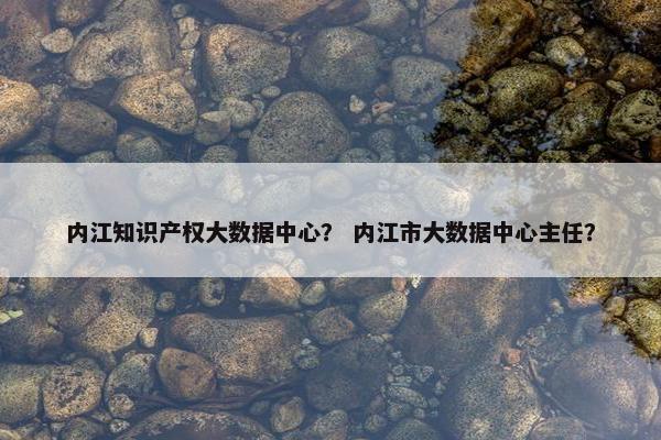 内江知识产权大数据中心？ 内江市大数据中心主任？