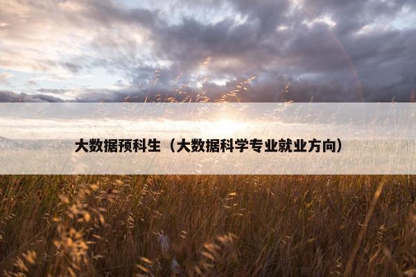 大数据预科生（大数据科学专业就业方向）