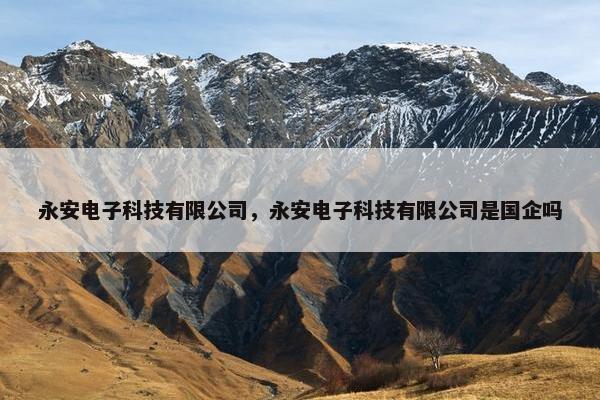 永安电子科技有限公司，永安电子科技有限公司是国企吗