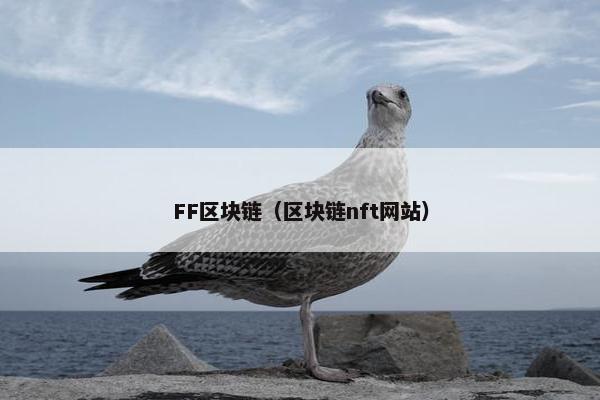 FF区块链（区块链nft网站）