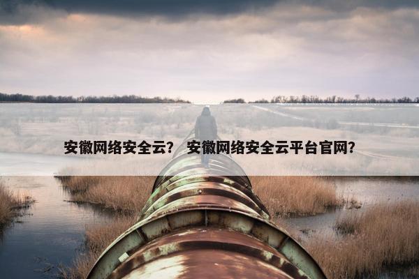 安徽网络安全云？ 安徽网络安全云平台官网？