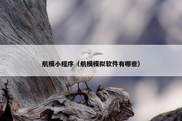 航模小程序（航模模拟软件有哪些）