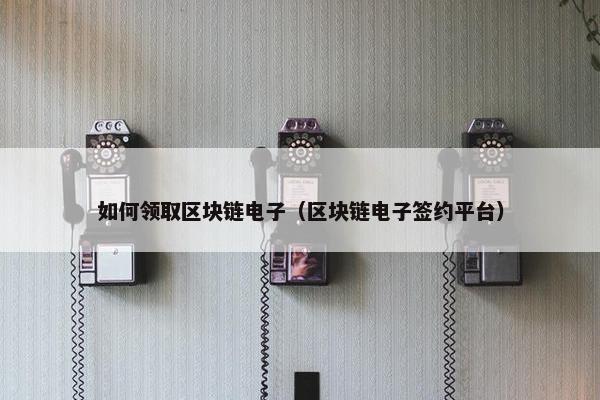 如何领取区块链电子（区块链电子签约平台）