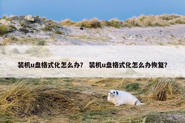 装机u盘格式化怎么办？ 装机u盘格式化怎么办恢复？