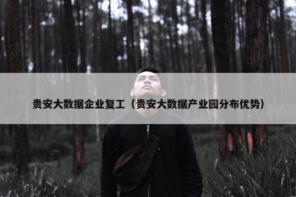 贵安大数据企业复工（贵安大数据产业园分布优势）