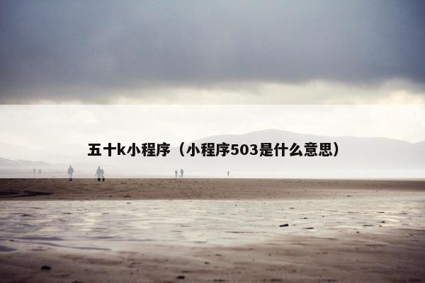 五十k小程序（小程序503是什么意思）