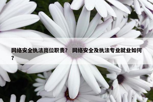 网络安全执法岗位职责？ 网络安全及执法专业就业如何？
