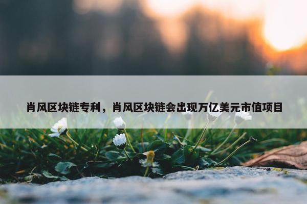 肖风区块链专利，肖风区块链会出现万亿美元市值项目