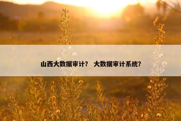 山西大数据审计？ 大数据审计系统？