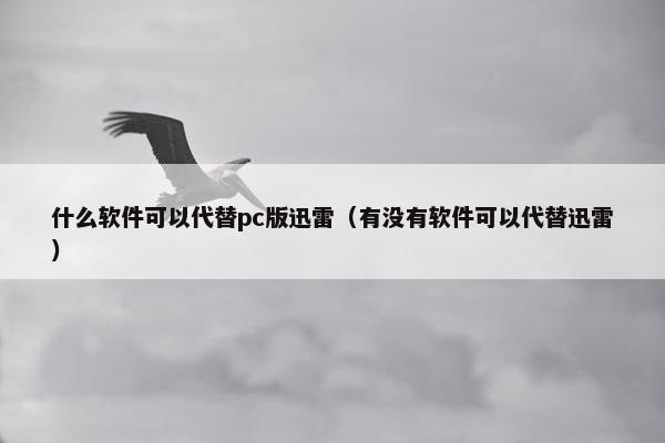 什么软件可以代替pc版迅雷（有没有软件可以代替迅雷）