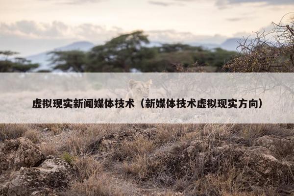 虚拟现实新闻媒体技术（新媒体技术虚拟现实方向）