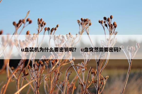 u盘装机为什么要密钥呢？ u盘突然需要密码？