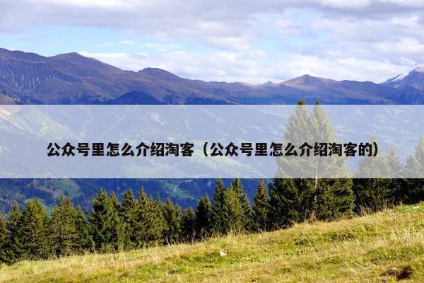 公众号里怎么介绍淘客（公众号里怎么介绍淘客的）