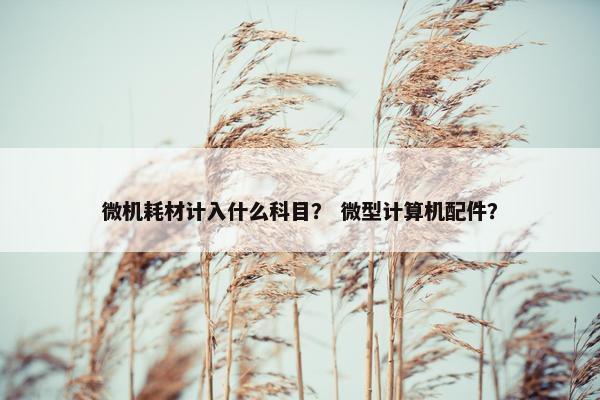 微机耗材计入什么科目？ 微型计算机配件？