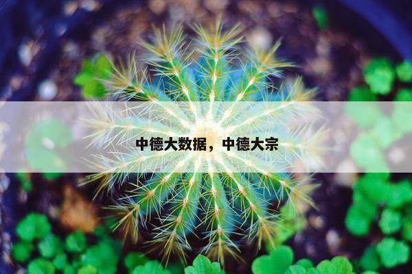中德大数据，中德大宗