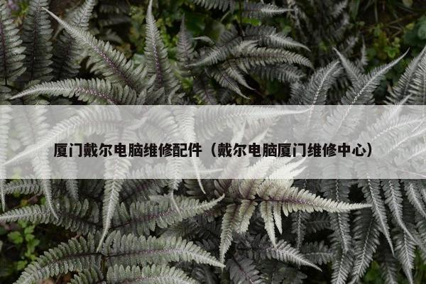 厦门戴尔电脑维修配件（戴尔电脑厦门维修中心）