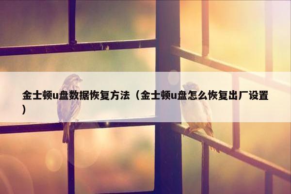 金士顿u盘数据恢复方法（金士顿u盘怎么恢复出厂设置）