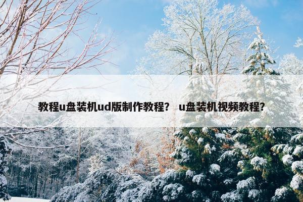 教程u盘装机ud版制作教程？ u盘装机视频教程？