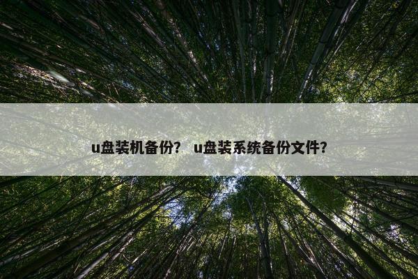 u盘装机备份？ u盘装系统备份文件？