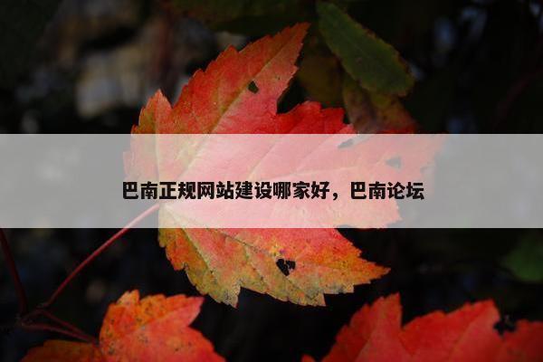 巴南正规网站建设哪家好，巴南论坛