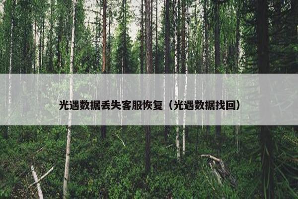 光遇数据丢失客服恢复（光遇数据找回）