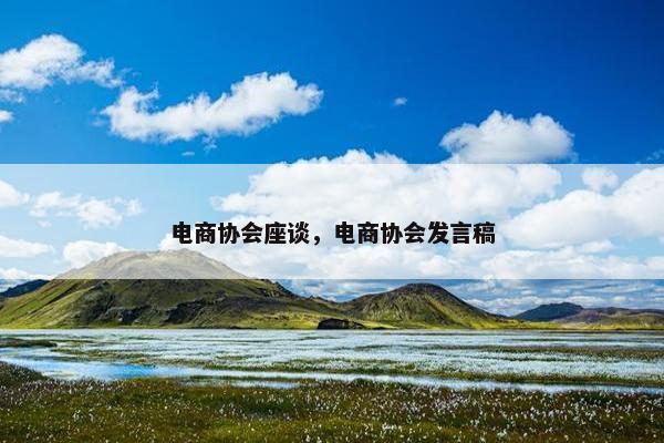 电商协会座谈,电商协会发言稿