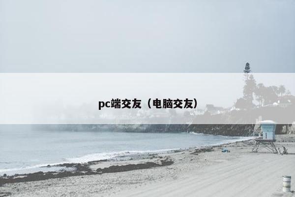 pc端交友（电脑交友）