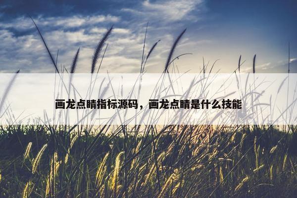 画龙点睛指标源码，画龙点睛是什么技能
