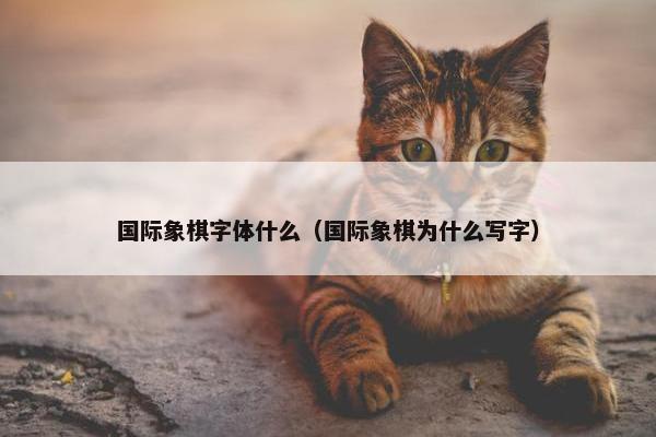 国际象棋字体什么（国际象棋为什么写字）