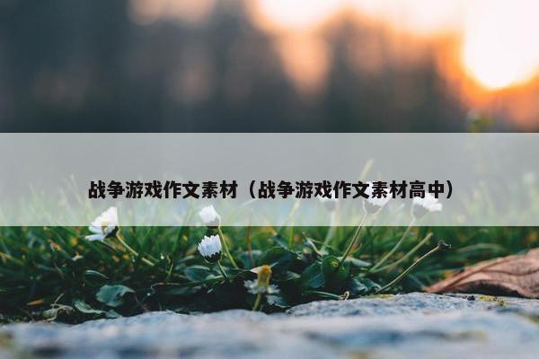 战争游戏作文素材（战争游戏作文素材高中）