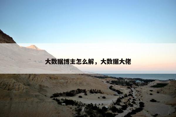 大数据博主怎么解，大数据大佬