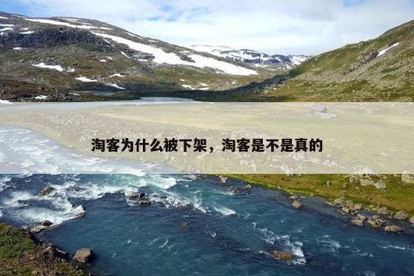 淘客为什么被下架，淘客是不是真的