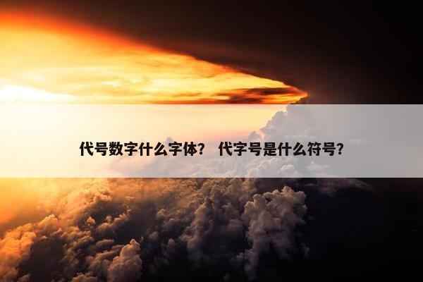 代号数字什么字体？ 代字号是什么符号？