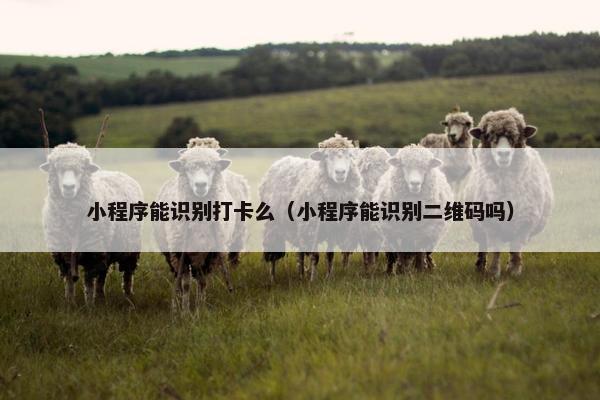 小程序能识别打卡么（小程序能识别二维码吗）