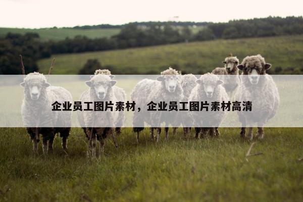企业员工图片素材，企业员工图片素材高清