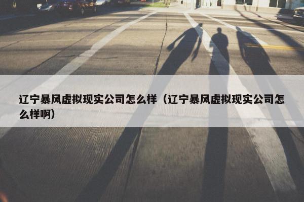辽宁暴风虚拟现实公司怎么样（辽宁暴风虚拟现实公司怎么样啊）