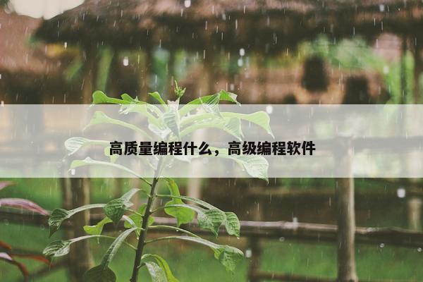 高质量编程什么，高级编程软件