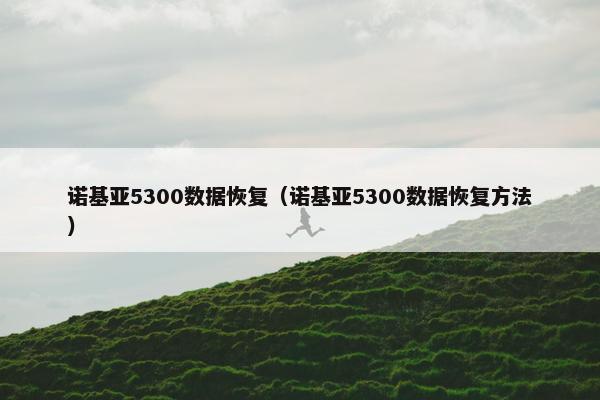 诺基亚5300数据恢复（诺基亚5300数据恢复方法）