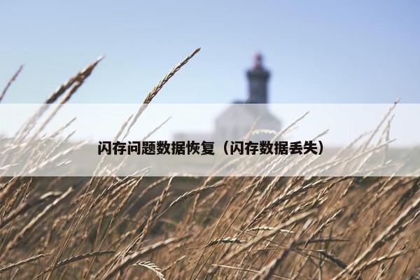 闪存问题数据恢复（闪存数据丢失）